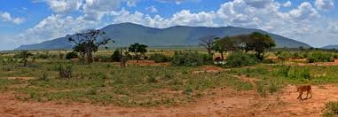 Tsavo East National Park